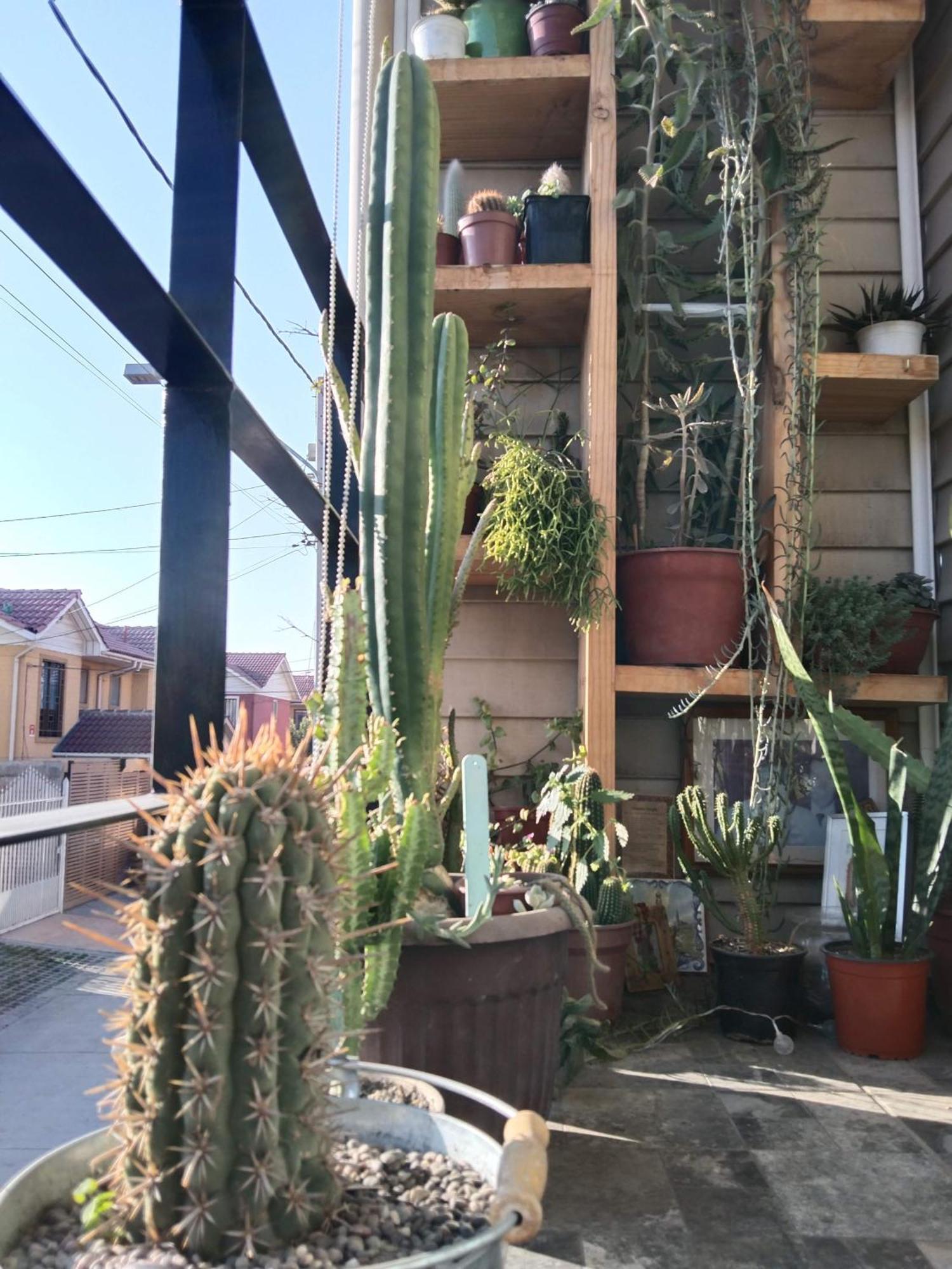 Hostel Tu Espacio Re - Habitaciones Cerca Del Aeropuerto Santiago Exterior foto